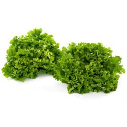 alt Batavia, eichblatt bio ks