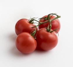 Paradajky strapcov bio