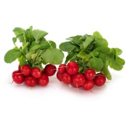 Rekovka viazanika erven ks