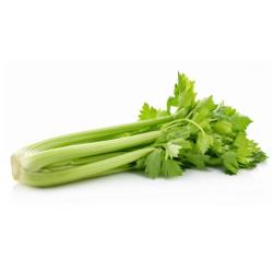 Zeler stonkov bio ks