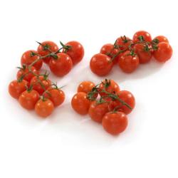 Paradajky cherry/vek bio kg
