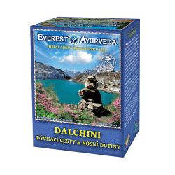 Dalchini ajurvdsky aj 100g