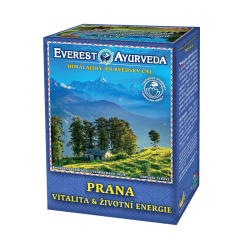 Prana ajurvdsky aj 100g