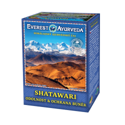 Shatawari ajurvdsky aj 100g