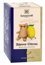 aj Zzvor citrn 32,4g bio porc. dar.