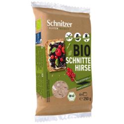 Chlieb penov bezlepk. 250g bio SNI