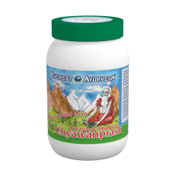 Chyawanprash bylinn elixr 300g