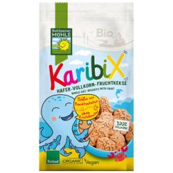 Keksy ovsen ovocn 125g bio BHM