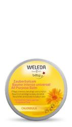 Nechtkov balzam all in one 25g WELEDA
