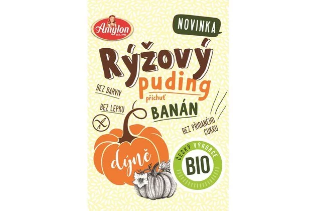 Puding ryov rzne druhy 40g bio