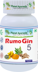Rumo Gin 5 60kaps Planet Ayurveda