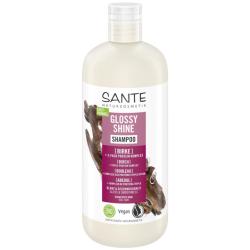 ampn Glossy Shine 500ml bio Sante