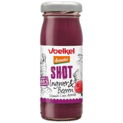 SHOT zzvor lesn ovocie 95ml bio