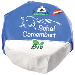 Syr ov camembert 100g bio SBC