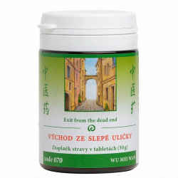 070 TCM - Vchod ze slep uliky 30g