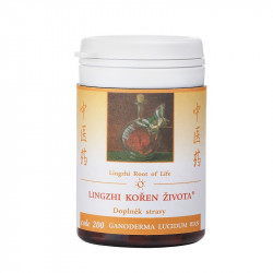 200 TCM - Lingzhi koen ivota 30g
