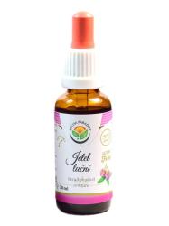 atelina lna tinktra bez alkoholu 30ml