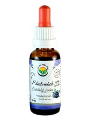 Eleuterokok - enen sibrsky tinktra bez alkoholu 30ml