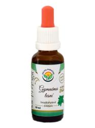 Gymnma lesn tinktra bez alkoholu 30ml