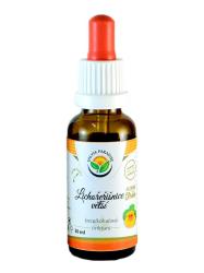 Kapucnka - Lichoeinice tinkt.bez alkoholu 30ml Jiaogulan