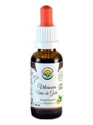 Vilcacora Una de Gato Maac pazr tinktra bez alkoholu  30ml