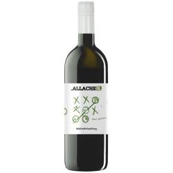 Vno biele Rizling vlask bez hist. 0,75l bio AL