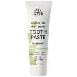 Zubn pasta Fresh Mint 75ml URT
