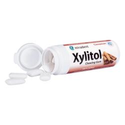 uvaky xylitol so koricou 30g MIR
